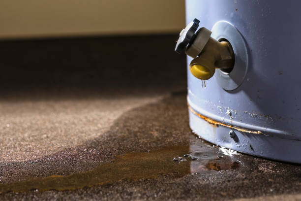 Best Water damage restoration near me  in Coshocton, OH