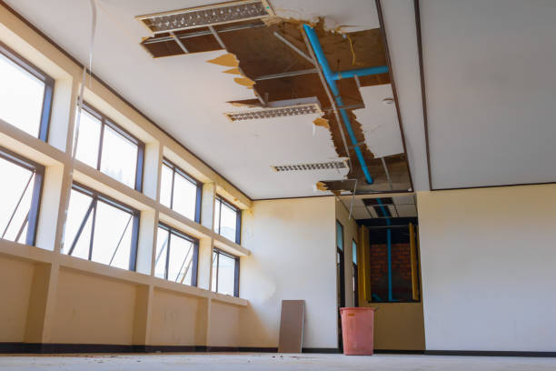 Best Residential water damage restoration  in Coshocton, OH