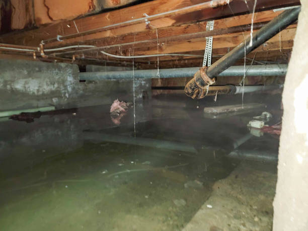  Coshocton, OH Water damage restoration Pros