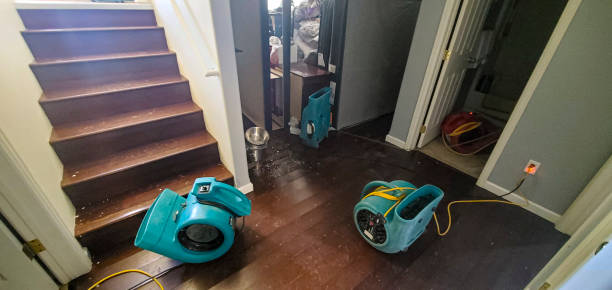 Best 24/7 water damage repair  in Coshocton, OH