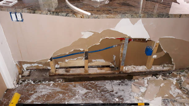 Best Water damage cleanup near me  in Coshocton, OH