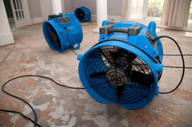 Best Flood restoration services  in Coshocton, OH