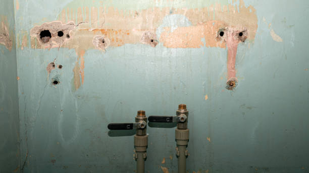 Best Ceiling water damage repair  in Coshocton, OH