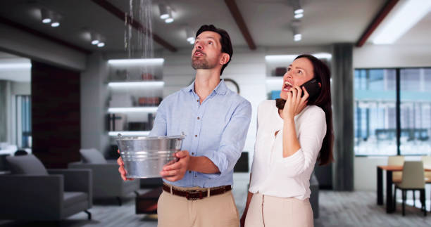 Best Water damage cleanup near me  in Coshocton, OH